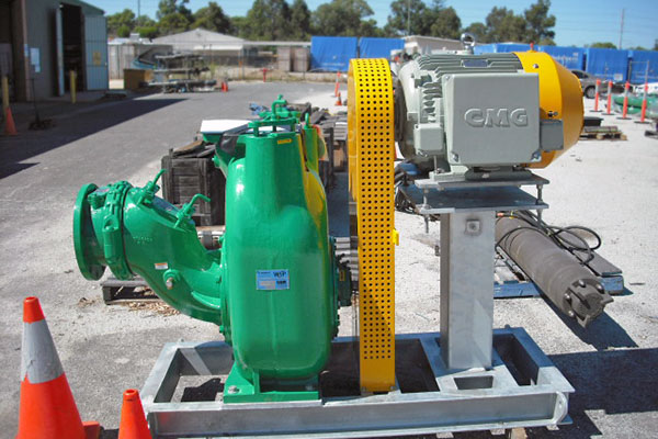 Plant Service Water Pumps
