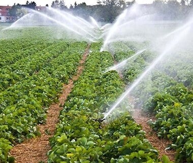 Agriculture
